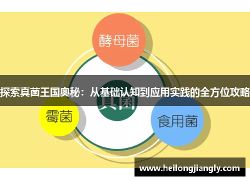 探索真菌王国奥秘：从基础认知到应用实践的全方位攻略